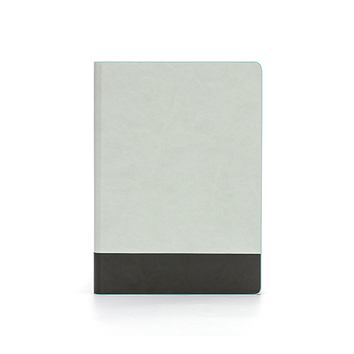 MZ20 ������ ���̾ 25��